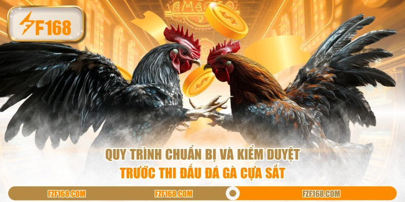 Quy trình chuẩn bị và kiểm duyệt trước thi đấu đá gà cựa sắt