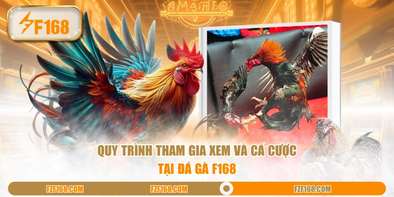 Quy trình tham gia xem và cá cược tại Đá Gà F168